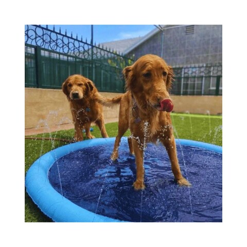 Piscina Para Perro 150 Cm Piscina Para Perro 150 Cm