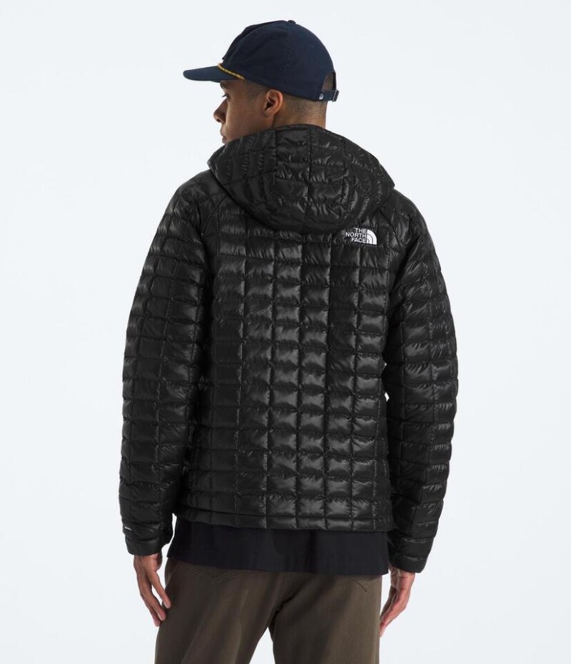 Campera Thermoball Hooded Tnf Black