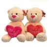 Oso Peluche C/Corazon N/a