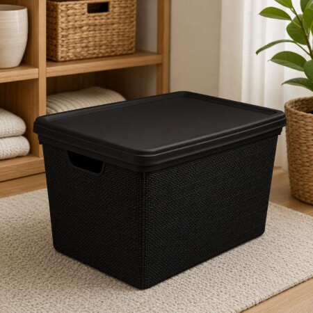 Caja organizadora Simil Rattan 22 litros Negro Caja organizadora Simil Rattan 22 litros Negro