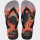 Ojotas Havaianas Top Surfer I Gris