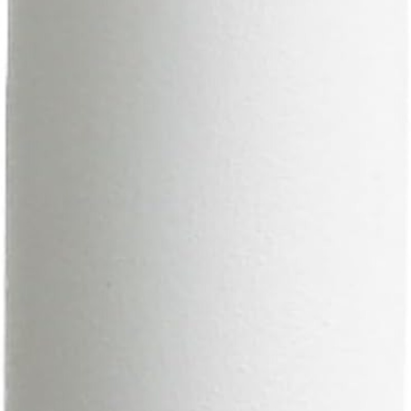 FLORERO CERAMICA CRUDA C/ LINEA DORADA FLORERO CERAMICA CRUDA C/ LINEA DORADA