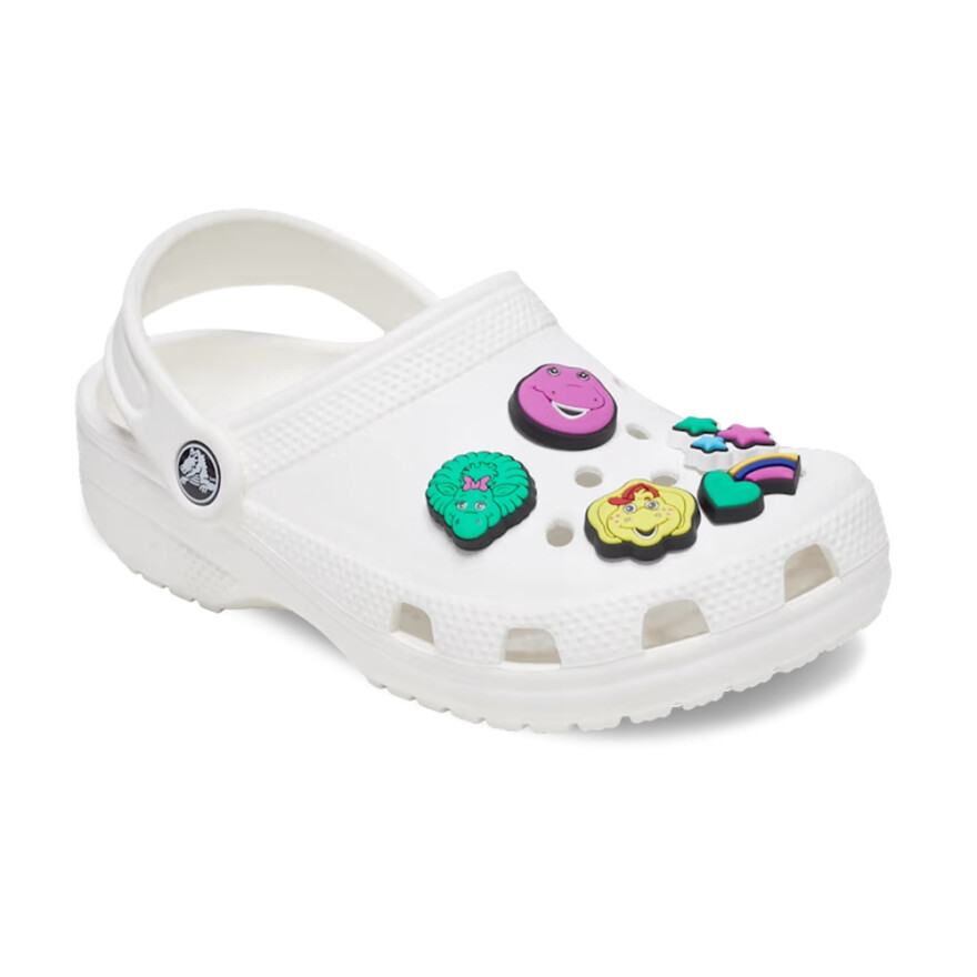Jibbitz Barney 5 Pack Multicolor
