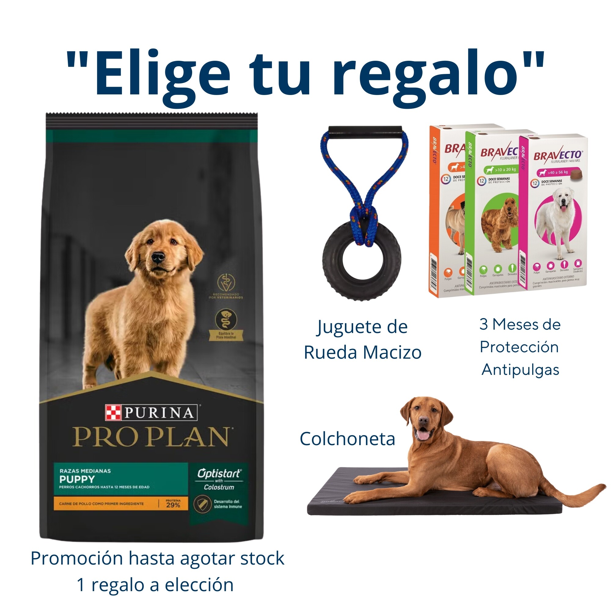 Pro sale plan 15kg