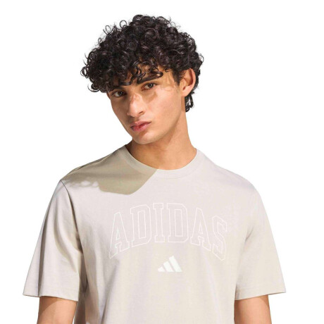 Remera Universitaria Lineage De Hombre Gris
