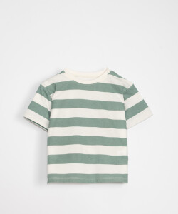 Remera oversize estampa Rayas Verde
