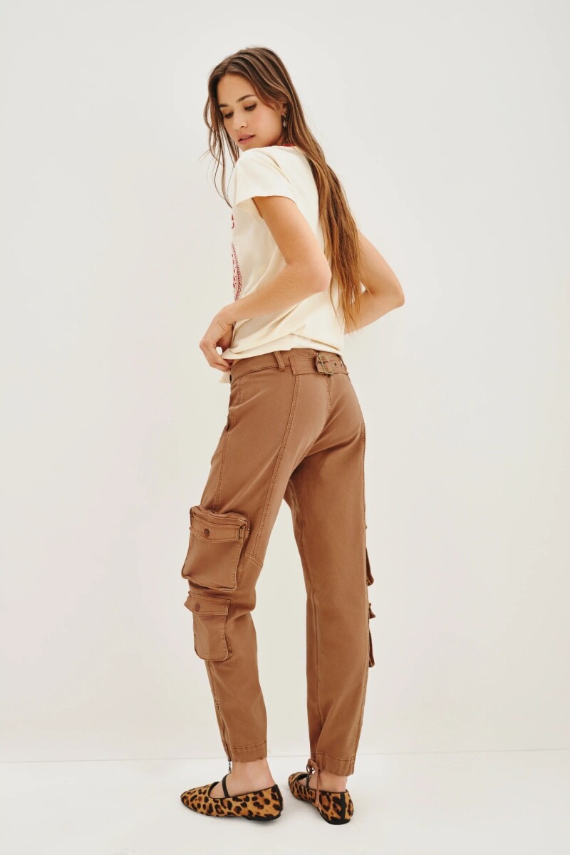PAN VIETNAM Camel