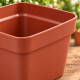 Maceta cuadrada 3,8 lts TERRACOTA