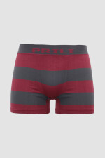 Boxer galés Bordeaux oscuro