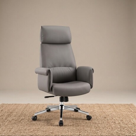 Silla De Director Vison U