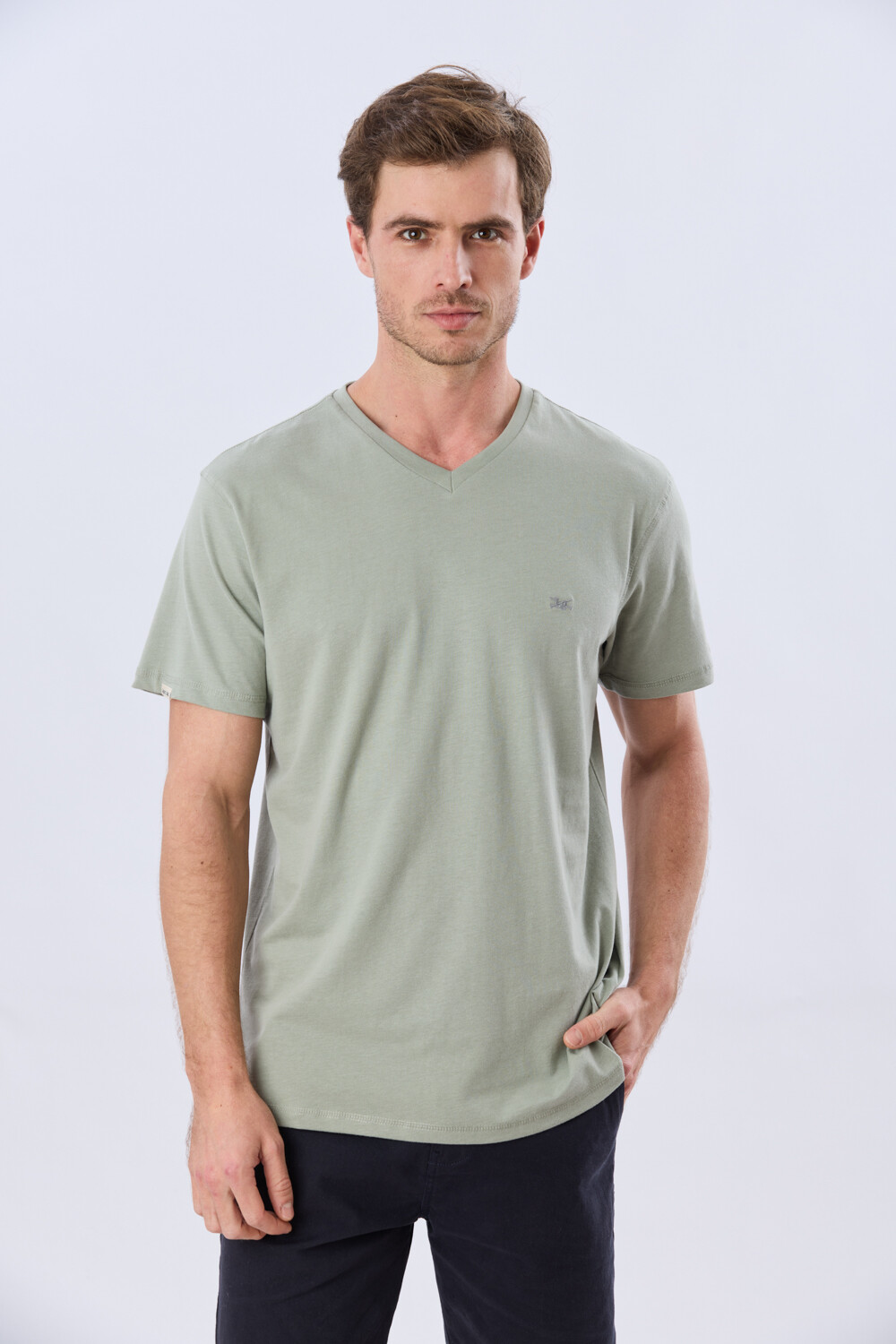 REMERA BÁSICA DE ALGODÓN Pistacho