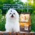 ASTRO PERROS ADULTOS RAZAS PEQUEÑAS 7KG ASTRO PERROS ADULTOS RAZAS PEQUEÑAS 7KG