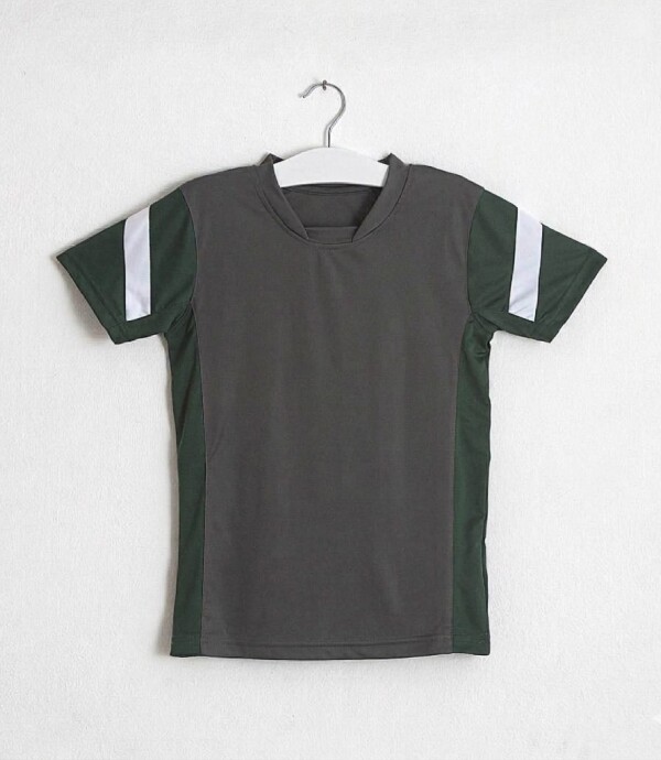 Remera Handballl Gris