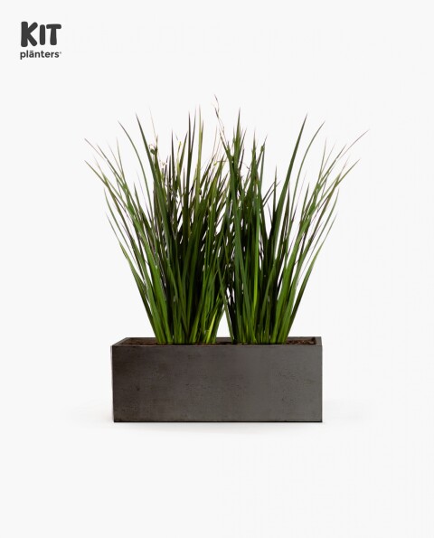 KIT Jardinera "Gris grafito" 80cm* 30cm* 30cm* C/ Dietes y Sustratos