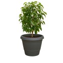 Maceta redonda grande 44Lts gris Maceta redonda grande 44Lts gris