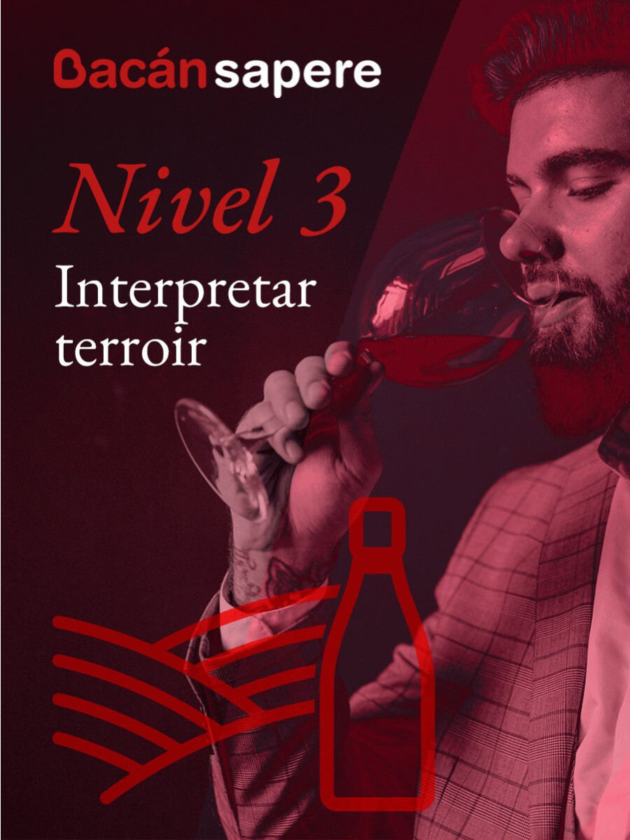 Taller Interpretar terroir - Nivel 3 Taller Interpretar terroir - Nivel 3
