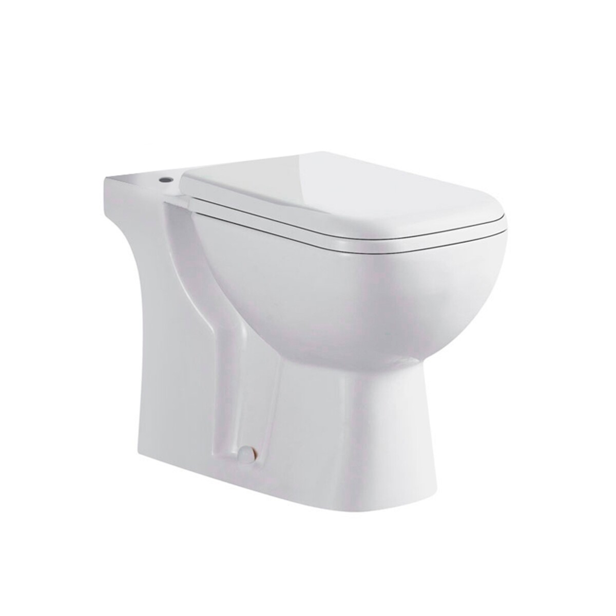 Inodoro Incluye Tapa Blanco Brillo Porcelana Sanitaria Malawi Para Mochila 