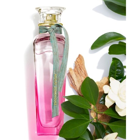 Perfume Adolfo Dominguez Agua Fresca de Gardenia Musk EDT 120ml Original Perfume Adolfo Dominguez Agua Fresca de Gardenia Musk EDT 120ml Original