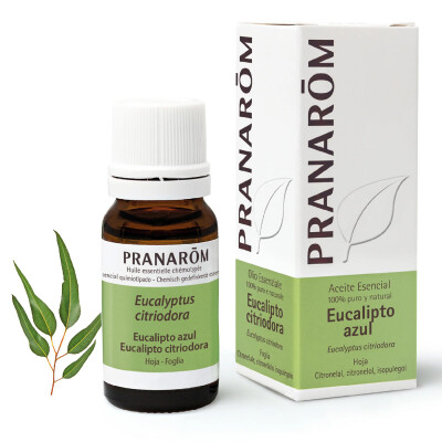 Aceite esencial eucalipto azul Pranarom Aceite Pranarom Eucalipto Azul