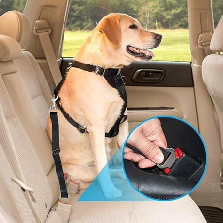 SEGURIDAD VIAL - CINTURON 47-70 CM MASCOTA REGLAMENTARIO - SEGURIDAD VIAL - CINTURON 47-70 CM MASCOTA REGLAMENTARIO -