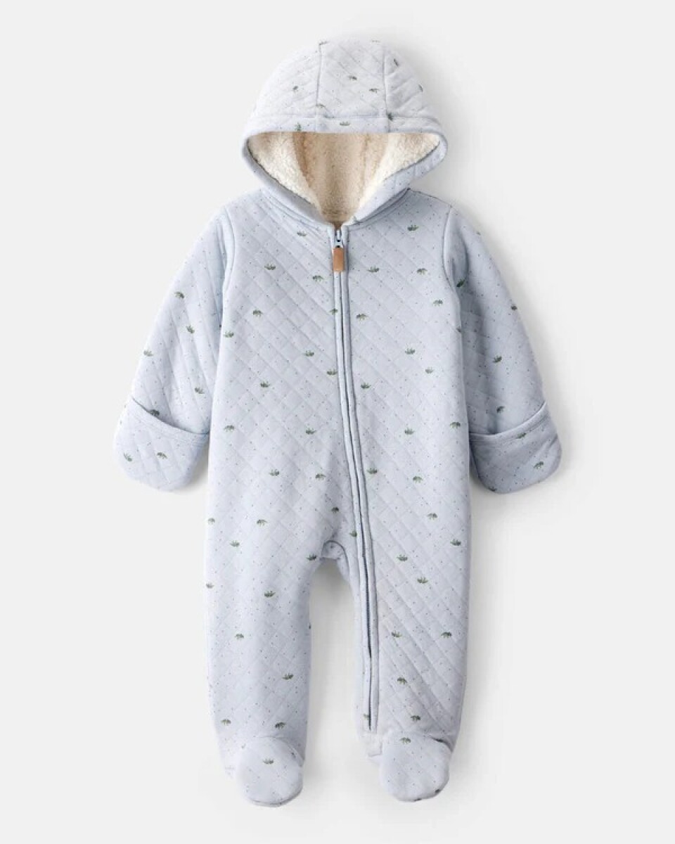 Astronauta capitoneado dino celeste Carters 