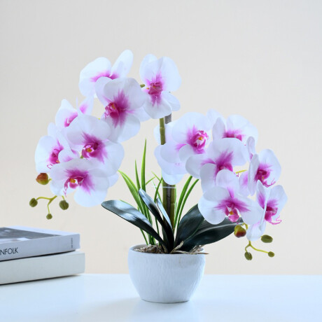 Orquidea Con Maceta Blanca Lila/Blanco