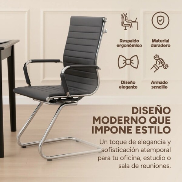 Silla Oficina Escritorio Patas Fijas Respaldo Anatómico Color Negro Plateado
