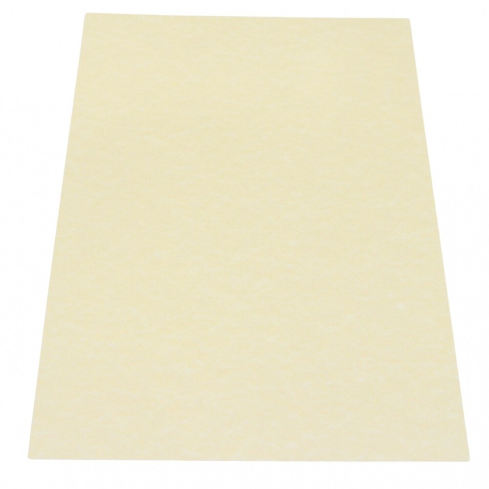 CARTULINA A4 TELADA 200 GRS COLOR OPALINA TELADA CREMA