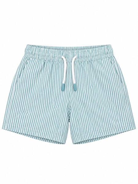 SHORT JUPA RAYADO CELESTE