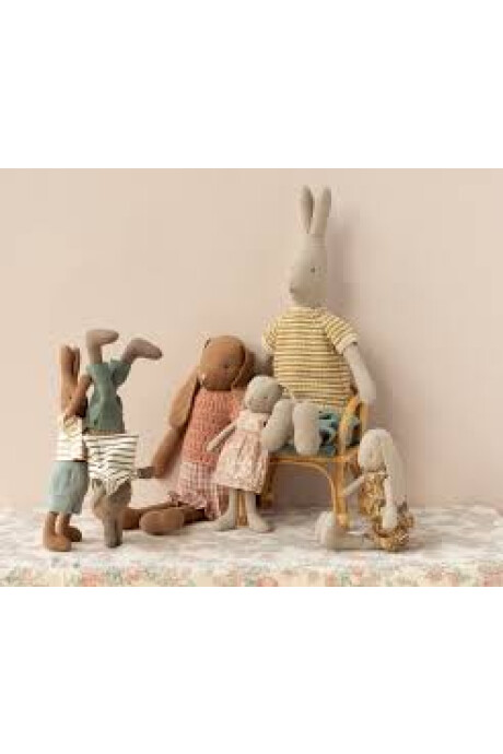 CONEJO MAILEG CONEJO MAILEG