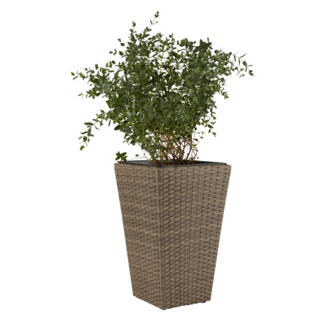 Maceta BLOMMOR A31xL31xA50 nat Natural