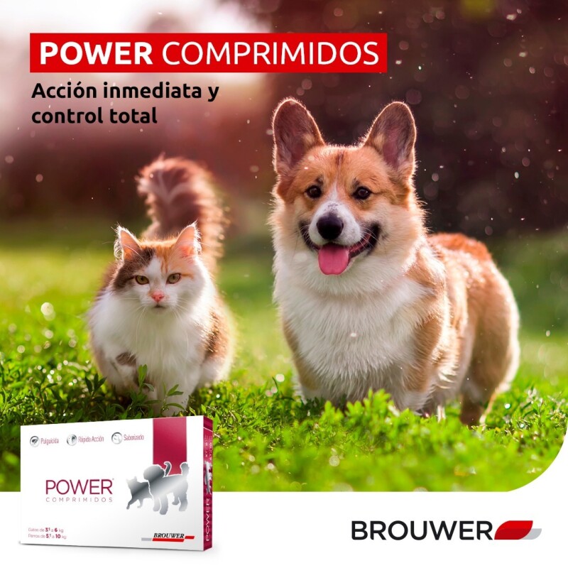 PASTILLA ANTIPULGAS POWER PARA GATOS Y PERROS PASTILLA ANTIPULGAS POWER PARA GATOS Y PERROS