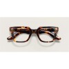 Moscot Grober Classic Havana