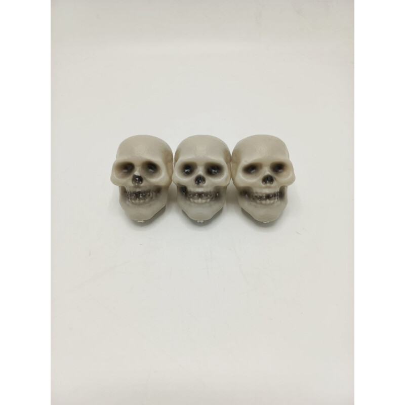 Set Cabeza De Esqueleto X3 Set Cabeza De Esqueleto X3