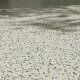 PORCELANATO PARA PISO Y PARED 60X60 TIPO TERRAZO VERDE MATE RECTIFICADO FAP GAMAS DE VERDE