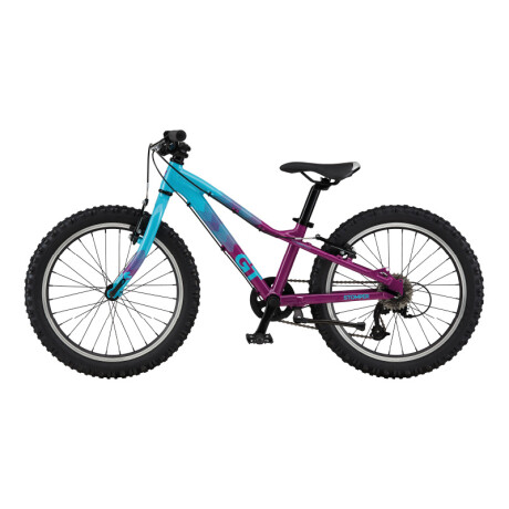 Bicicleta Montaña GT STOMPER HT ACE 20 Violeta y Celeste