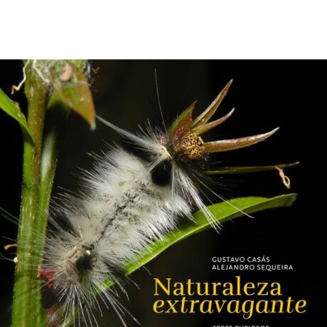NATURALEZA EXTRAVAGANTE NATURALEZA EXTRAVAGANTE