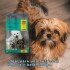 THREE DOGS ORIGINAL ADULTO RAZAS PEQUEÑAS MINI 10.1 KG + COMEDERO DE REGALO THREE DOGS ORIGINAL ADULTO RAZAS PEQUEÑAS MINI 10.1 KG + COMEDERO DE REGALO