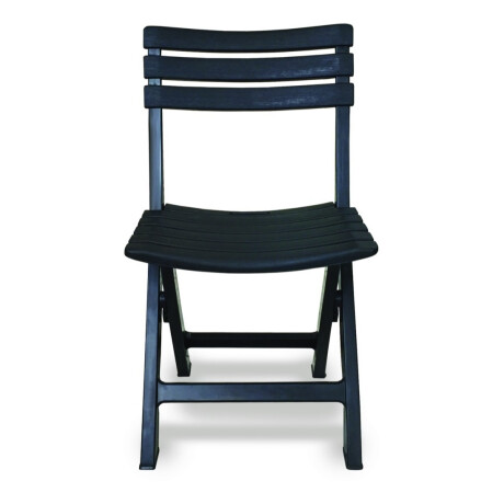 Silla Plegable Simil Madera Jardin Camping Parrilla 35x42x80 Negro