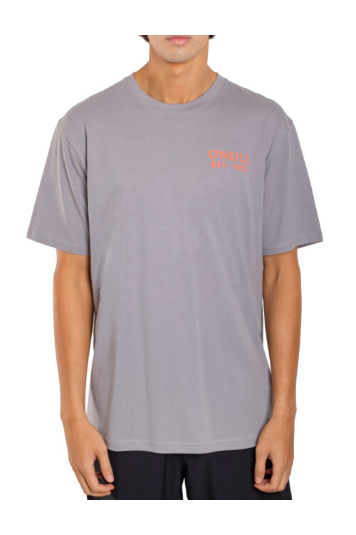 Remera O'Neill Oceanside Gris