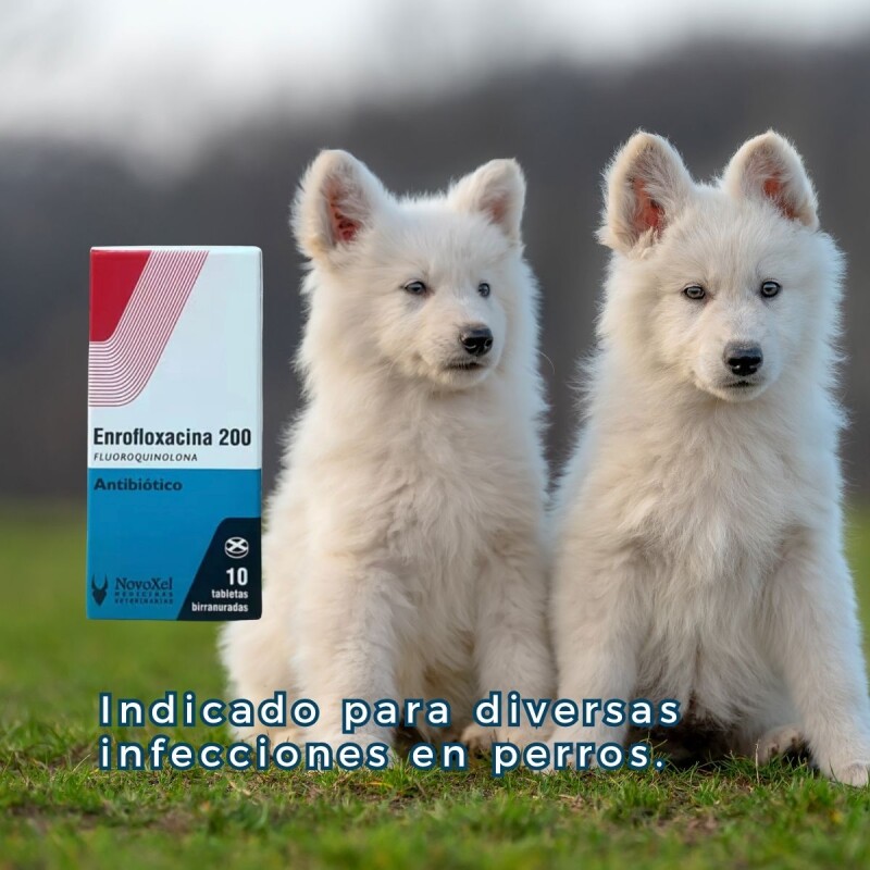 ENROFLOXACINA 200 MG X 10 COMPRIMIDOS ENROFLOXACINA 200 MG X 10 COMPRIMIDOS