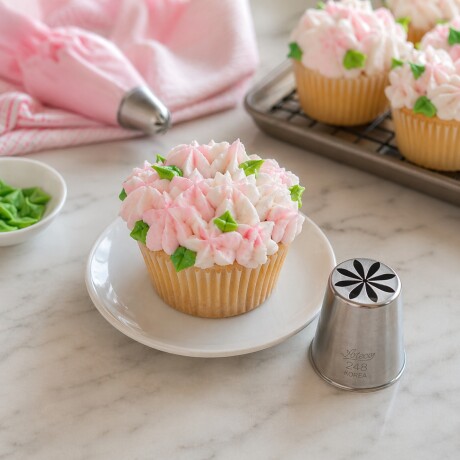 Puntero Ruso N° 248 Daysi Ateco Puntero Ruso N° 248 Daysi Ateco