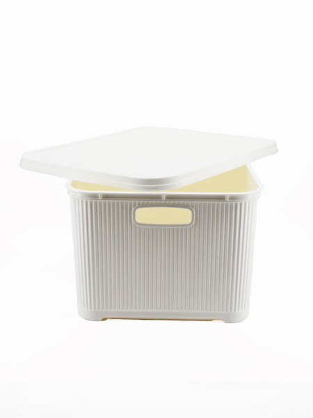 CAJA ORGANIZADORA CON TAPA BLANCO