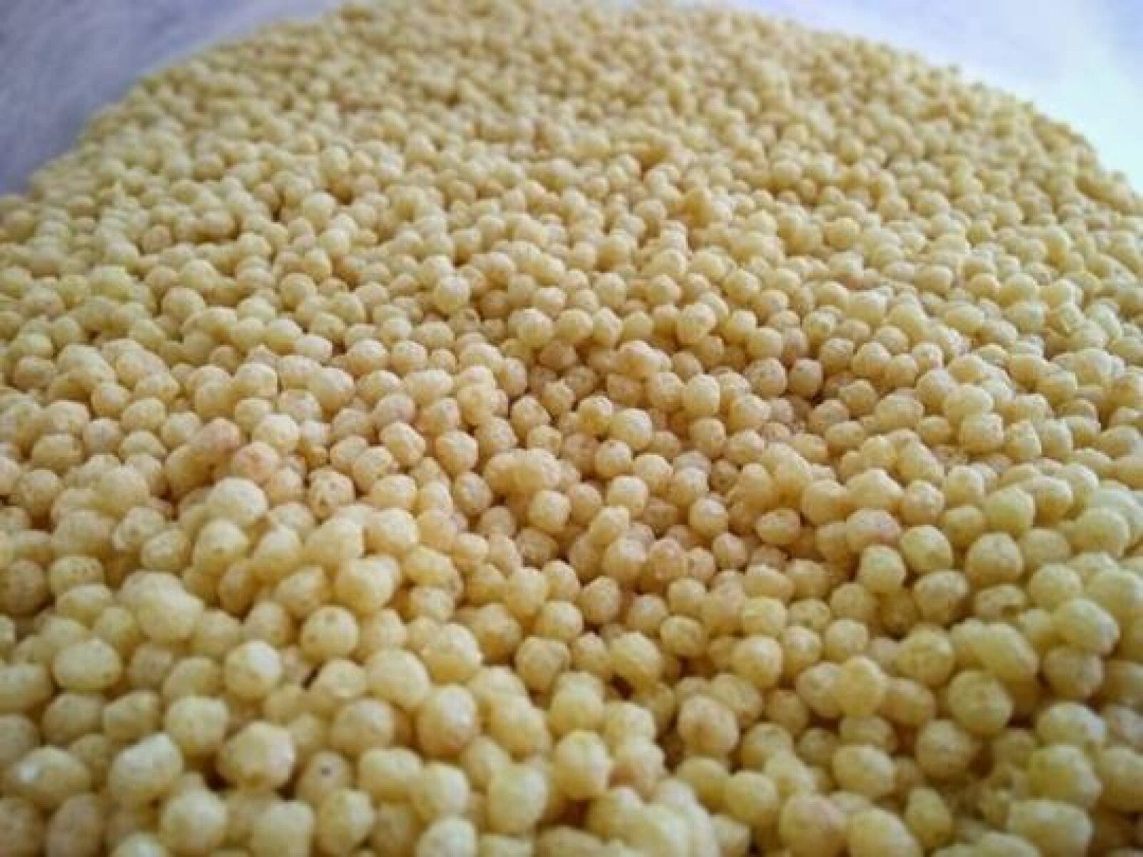 NAT-QUINOA POP 