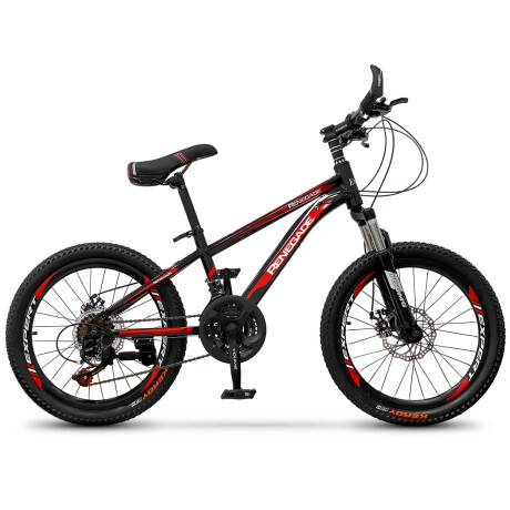 Bicicleta Montaña Rodado 20 Frenos Disco 21 Cambios Bic003003