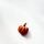 PIN FRUIT Calabaza