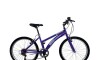 Bicicleta ALPINA LADY - Rodado 26 - Baccio Violeta