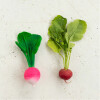 Mordillo Ramona the Radish Oli & Carol Mordillo Ramona the Radish Oli & Carol