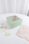 Caja 20x20x9,5 c/visor. VERDE AGUA