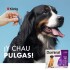 PIPETA ANTIPULGAS Y GARRAPATAS PARA PERROS DOMINAL KONIG MAS DE 40 KG